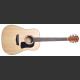 WASHBURN WD6 S