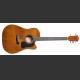 WASHBURN D150 CIQ