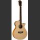 WASHBURN EA16N