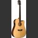 Washburn WD25SCE