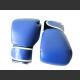Boxerské rukavice - tréninkové, 12 OZ