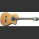 WASHBURN C104SCE natural