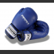 Boxerské rukavice Amateur (6 - 10 oz)